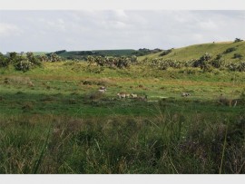 A popular waterhole, seen from one of the 4X4 routes.