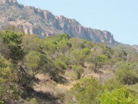 The Ngotshe plateau.