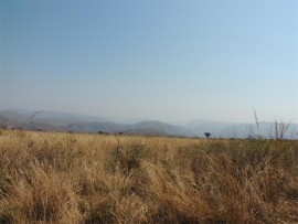 After being overgrazed for many years, the grasslands have recovered amazingly well.