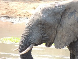 Time for a mud pack.