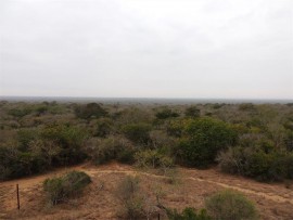 View from the tower.