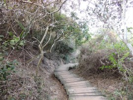 The long way down - the flight of more than 100 stairs to the beach.