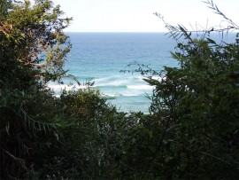 A peep at the perfectly blue sea on the way down the stairs to the beach.