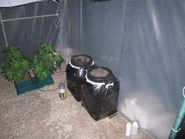 IMG_3296_03019