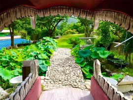 TEMPLE7_74341