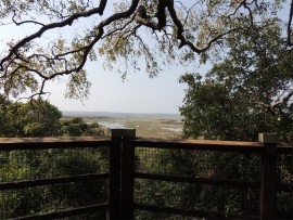 View from the uMthoma Boardwalk.