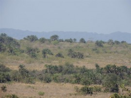 Massive vegetated dunes form a backdrop to the lovely views.