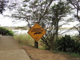A reminder that the town of St Lucia is surrounded by wilderness.