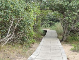 The boardwalk alongside the estuary offers excellent birding.