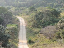 The lovely road through the Eastern Shores section.