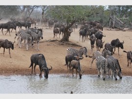 View from Masinga hide.