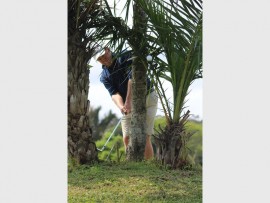 Seasoned campaigner: Gary Purtell of Southbroom will be hoping to avoid the palm trees this Sunday.