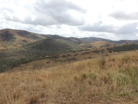 Rolling hills of Hluhluwe.