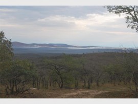 Misty iMfolozi morning.