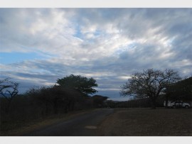 Welcome rain clowds roll in, bringing a much-needed shower to Hluhluwe-iMfolozi Game Reserve.