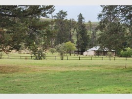 The southern berg’s self-guided National Hiking Way, which provides a string of five mountain huts, including Cobham’s Pholela Hut, along its route.