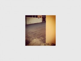 thealley_49066