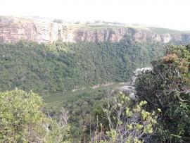 The Umtamvuna has incised a deep gorge to the sea.