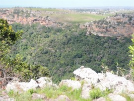 The forest-filled Umtamvuna Gorge.