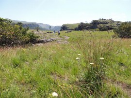 The flower-strewn grasslands are a joy to explore.