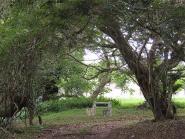 the Ivungu river Reserve offers peaceful spots to sit and ponder life's mysteries - or just to sit.