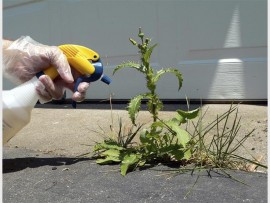 herbicide_77634