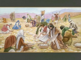 Manna from heaven. (helpforbetterimages.com)