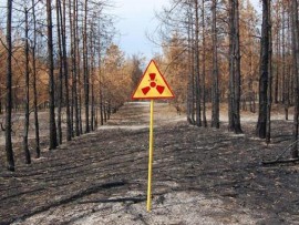 Chernobyl