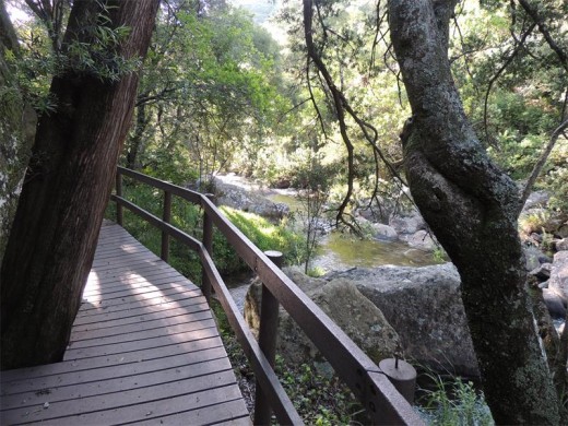 View from the walkway.
