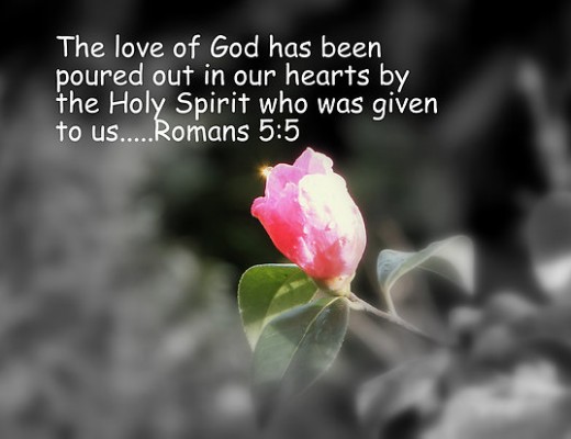 (loosilove.wordpress.com)