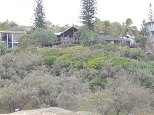 The beach house at Sunshine Beach, half hidden by the surrounding sub-tropical vegetation.