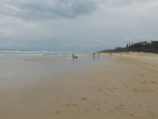 Sunshine Beach stretches to infinity.