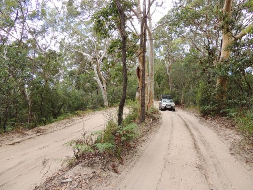 Heading inland along the Fresh Water Road  in the well-named Great Sandy National Park.