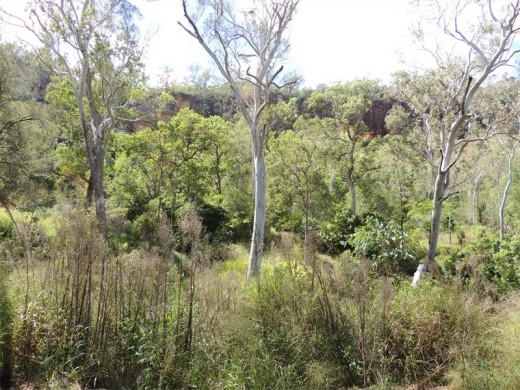 A Cania Canyon walking route through pretty greenery.