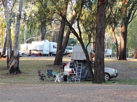 Free camping Australia style, with our compact camp set out beneath the giant gum trees.