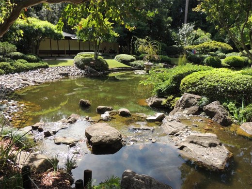 The Japanese garden at Mount Coot-tha