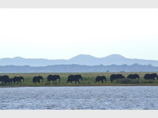A view of Lake St Lucia, the jewel of the iSimangaliso Wetland Park.