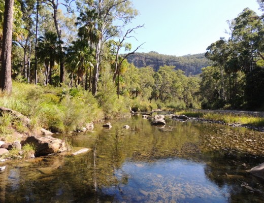 Carnarvon Creek