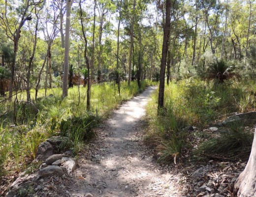The main walking trail.