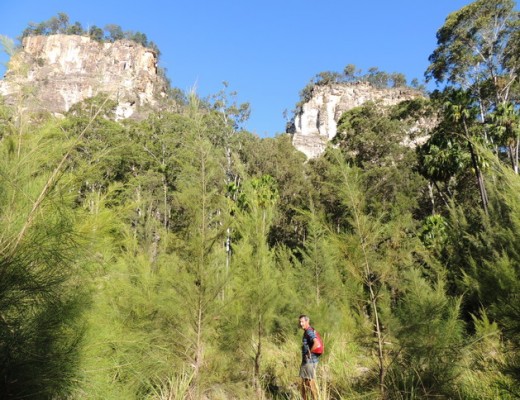 White cliffs of Carnarvon Gorge.