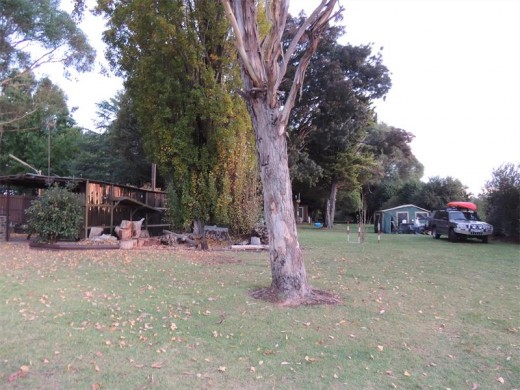 Rustic camping in Glen Innes.