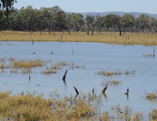 Lake Nuga Nuga, a natural body of water and extensive wetland area in Queensland.