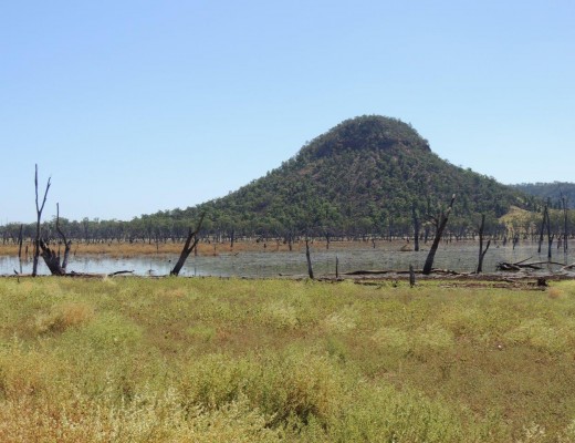 Australian version of  South African kopjie. The drowned trees attest to Lake Nuga Nuga's relative young age.