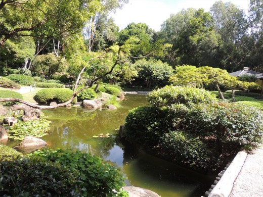Japanese inspiration in the Mount Coottha Botanical gardens.