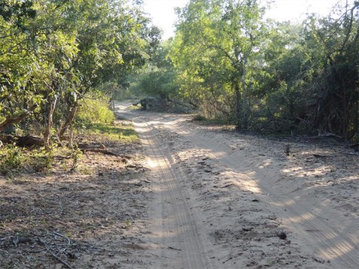 Sandy Tembe roads.