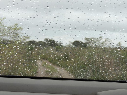 Much-needed rain in Tembe.