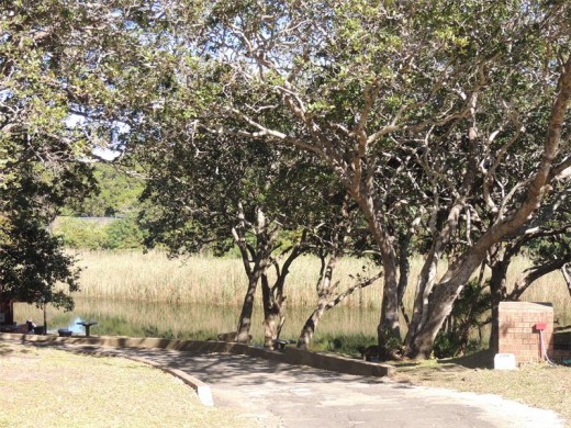 Riverside camping.