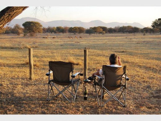 Surprise guest: Sundowner time at Marakele was once disturbed by a wild dog loping through our campsite.