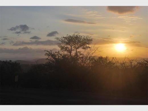 A beautiful morning in iMfolozi Game Reserve was enhanced by a brief encounter with a pack of wild dogs.