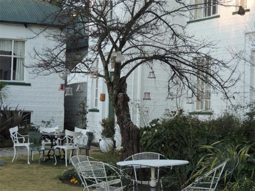 A lampshade trees adds whimsy to the quirky garden at the charming Green Lantern Inn.